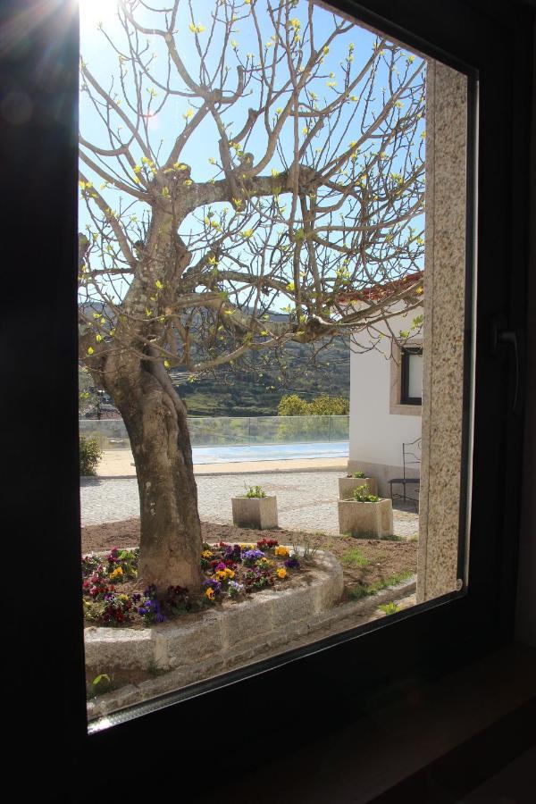 Casas Do Aidro Guest House Freches Exterior photo